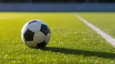 哥伦甲24胜18：进攻数据中的防守分析之谜